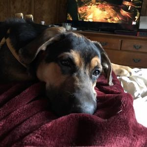 Meet your Posher, Alicia